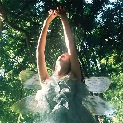 真实的谎言国语